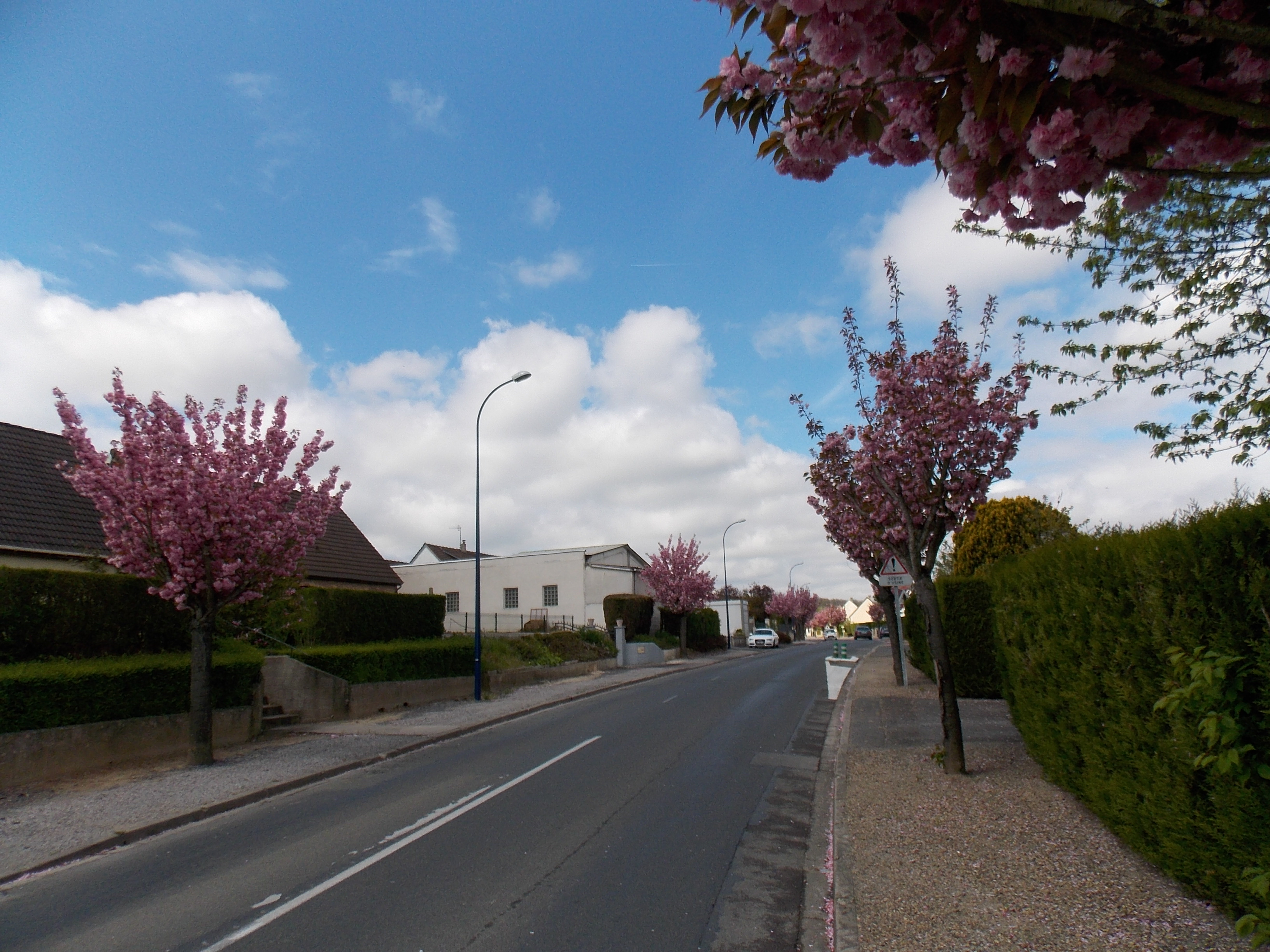 venant d'Anizy-Pinon au rintemps