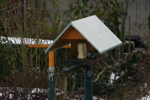 dans un jardin rue bellevue