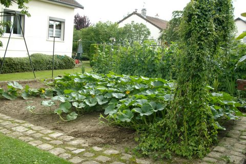 potager rue bellevue